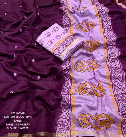 Jamali Bandhej and Block Print Saree